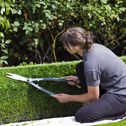 Garten- &  Hausmeisterdienst